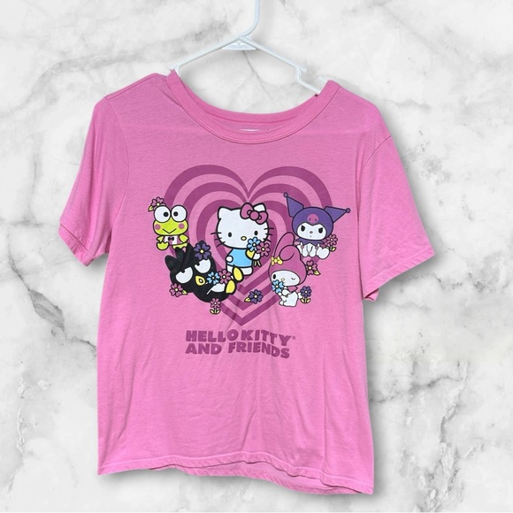 Hello kitty and friends Pink Graphic T-Shirt medium - Picture 1 of 6